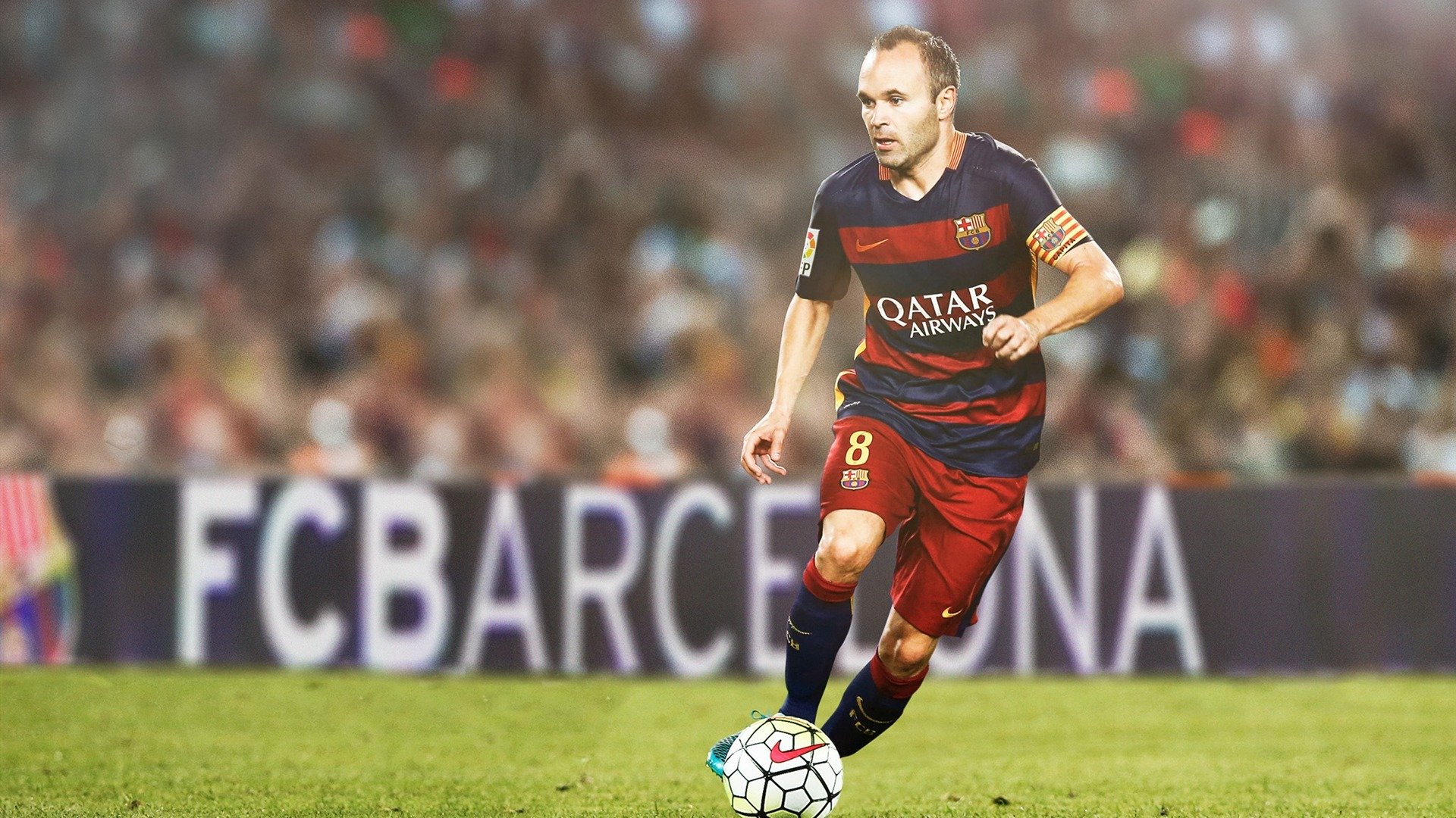 “美洲狮队新一代球员表现出色，未来值得期待”