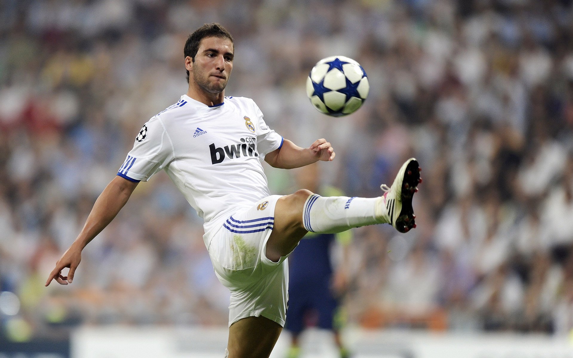 南非青训体系为未来橄榄球顶级球员的培养打下坚实基础，南非橄榄球种族歧视现象